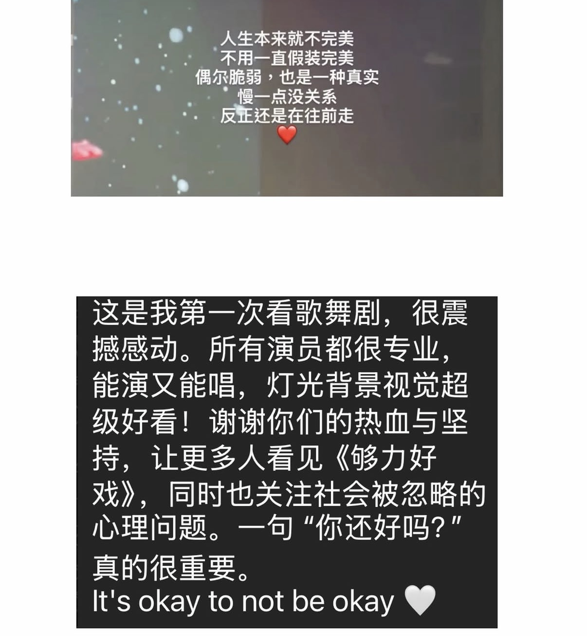 够力好戏 2.0 (GLHX The Musical 2.0) audience response 4